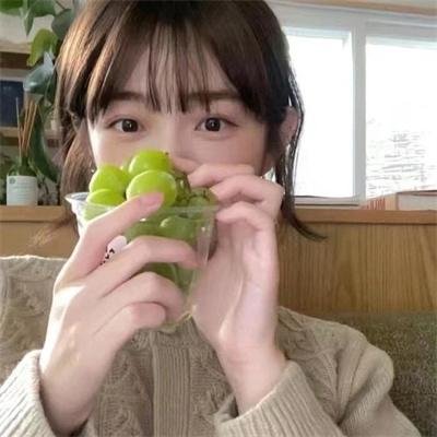 欢迎来到丛林